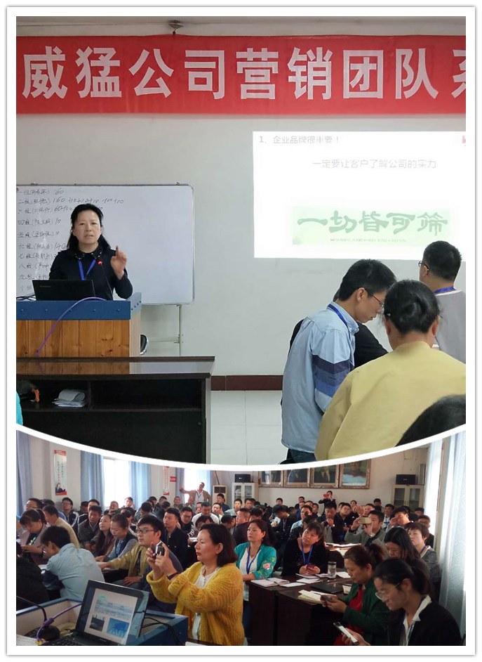 bevictor伟德-bv伟德国际体育官方网站